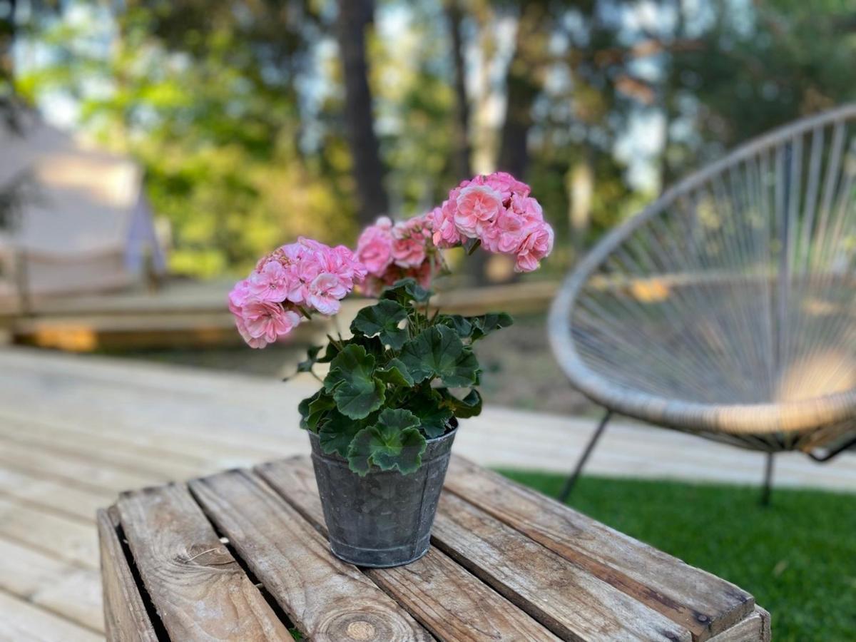 Koh Tenta A B&B In A Luxury Glamping Style Марієфред Екстер'єр фото